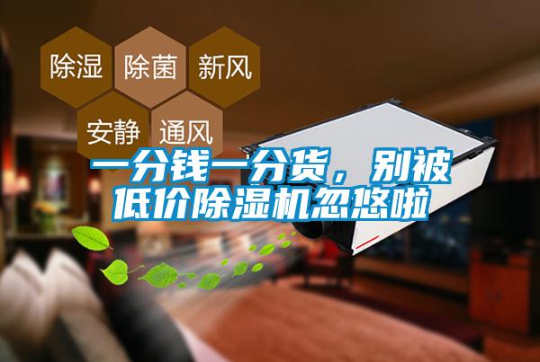 一分錢一分貨，別被低價除濕機忽悠啦