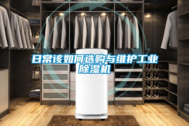 日常該如何選購(gòu)與維護(hù)工業(yè)除濕機(jī)