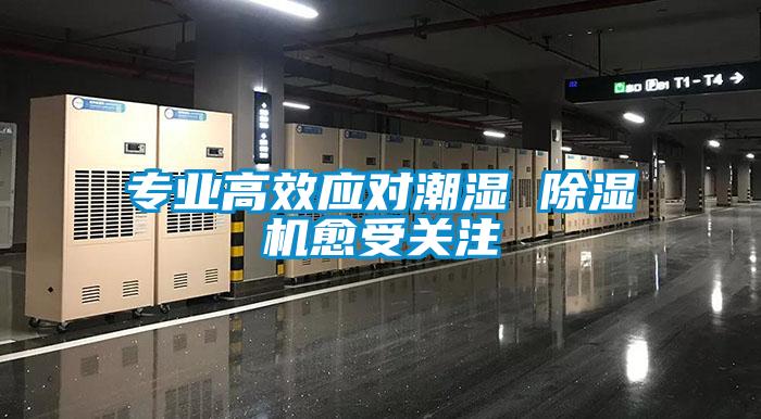 專業(yè)高效應(yīng)對(duì)潮濕 除濕機(jī)愈受關(guān)注