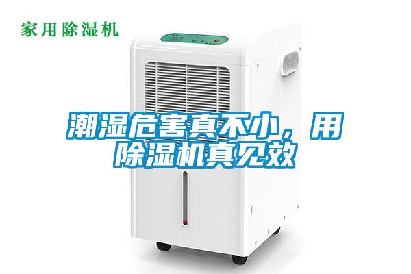 潮濕危害真不小，用除濕機真見效