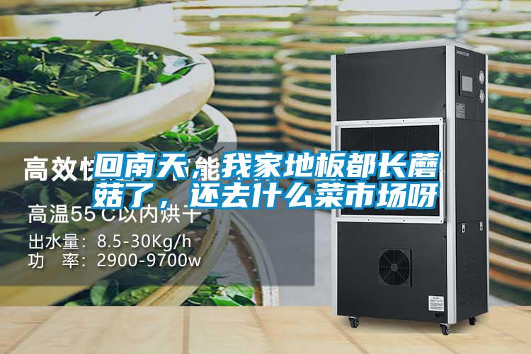 回南天，我家地板都長蘑菇了，還去什么菜市場呀