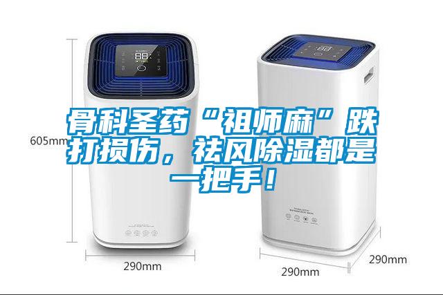 骨科圣藥“祖師麻”跌打損傷，祛風(fēng)除濕都是一把手！