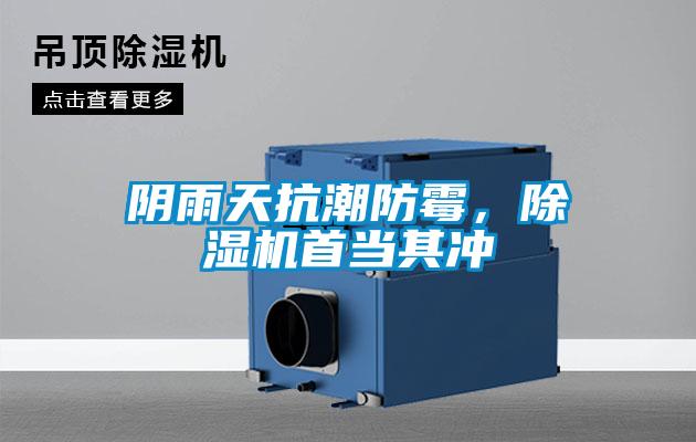 陰雨天抗潮防霉，除濕機(jī)首當(dāng)其沖