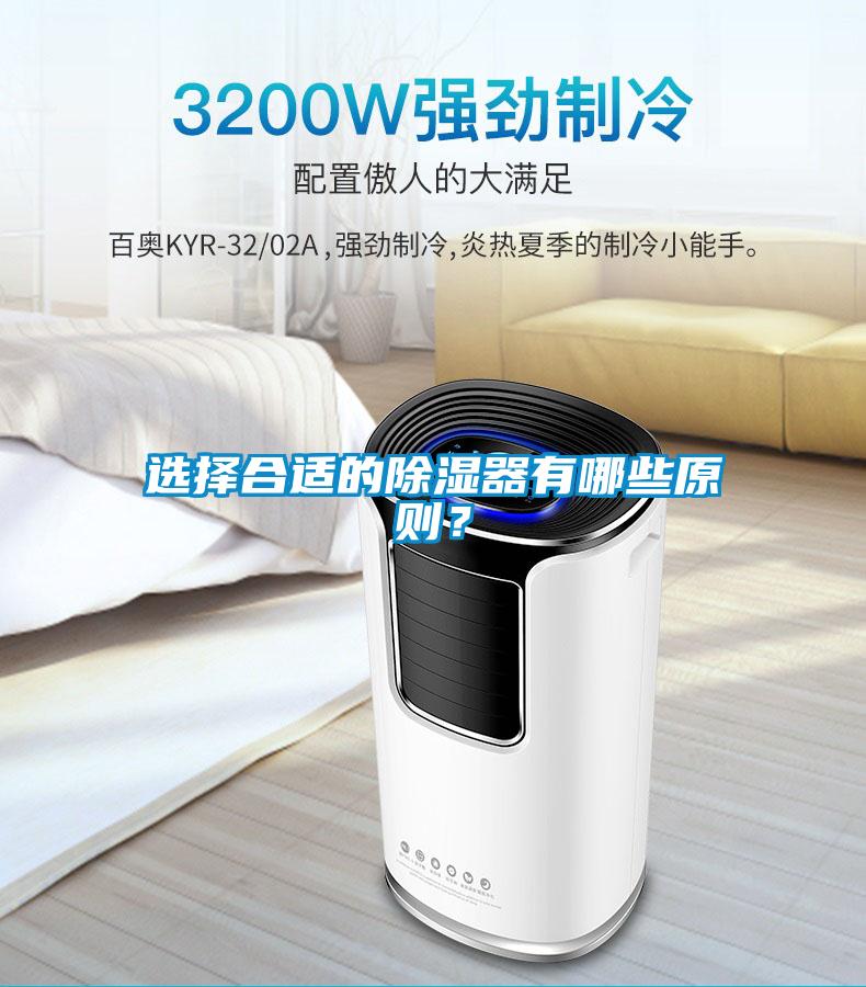 選擇合適的除濕器有哪些原則？
