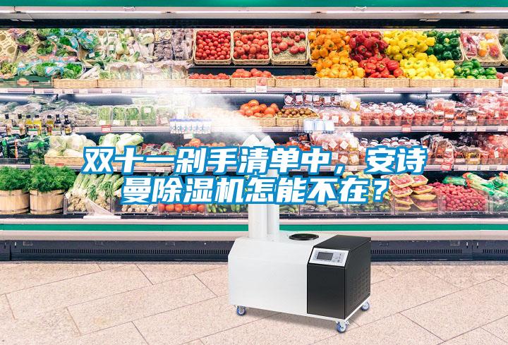 雙十一剁手清單中，安詩曼除濕機(jī)怎能不在？