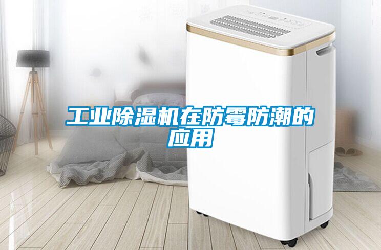 工業(yè)除濕機在防霉防潮的應用