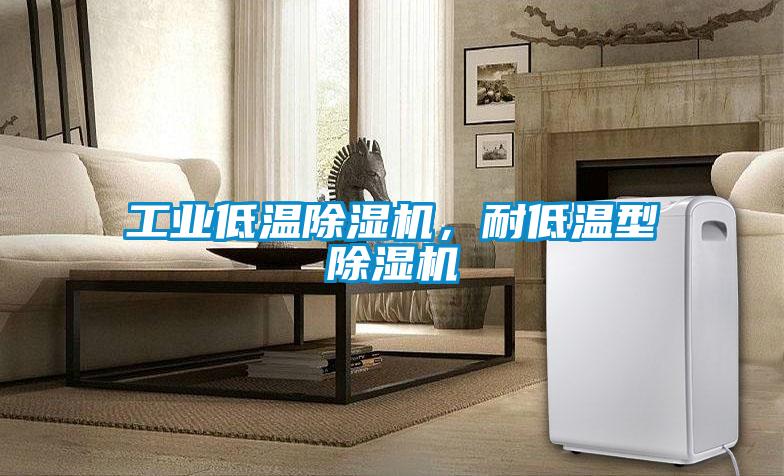 工業(yè)低溫除濕機(jī)，耐低溫型除濕機(jī)