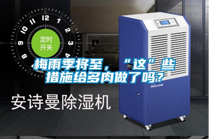 梅雨季將至，“這”些措施給多肉做了嗎？