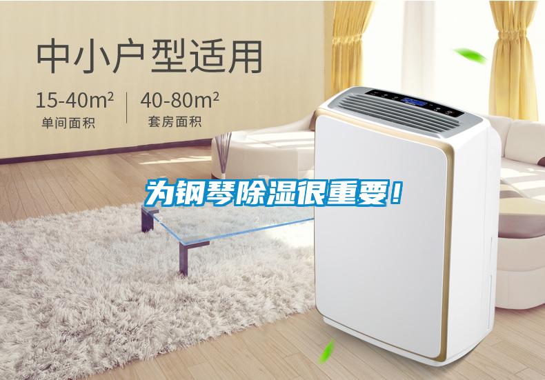 為鋼琴除濕很重要！