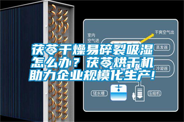茯苓干燥易碎裂吸濕怎么辦？茯苓烘干機(jī)助力企業(yè)規(guī)模化生產(chǎn)!