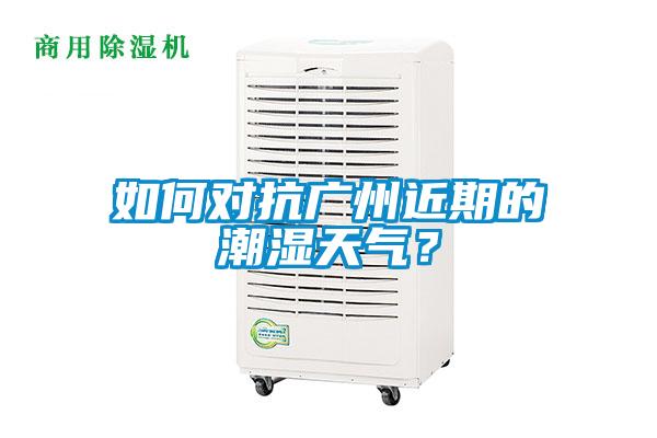 如何對抗廣州近期的潮濕天氣？