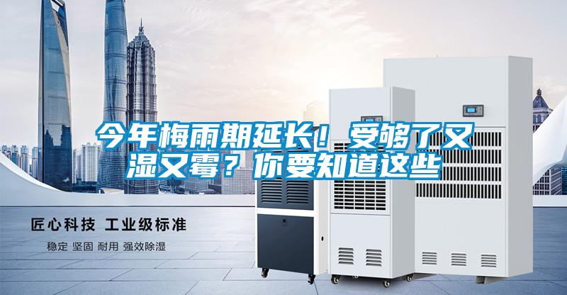 今年梅雨期延長！受夠了又濕又霉？你要知道這些