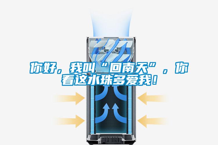 你好，我叫“回南天”，你看這水珠多愛我！