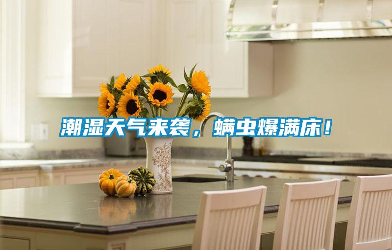 潮濕天氣來(lái)襲，螨蟲(chóng)爆滿床！