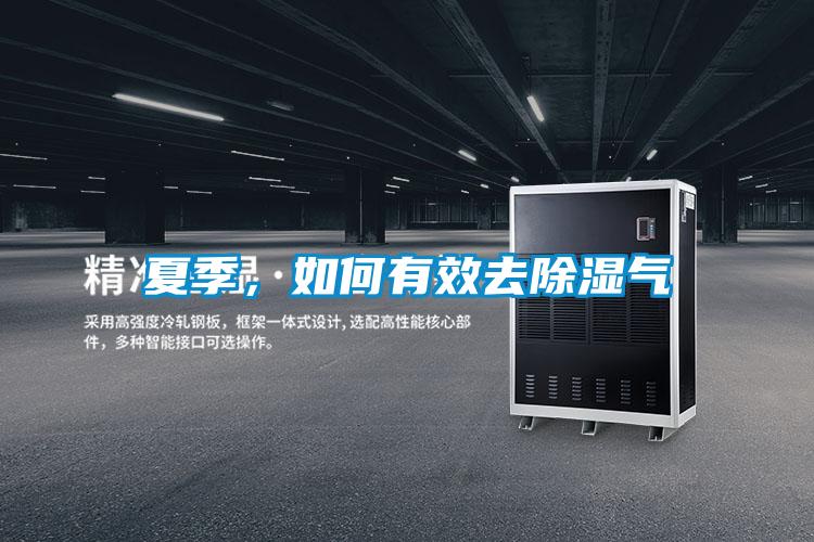夏季，如何有效去除濕氣