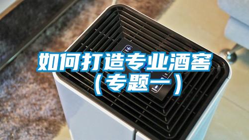 如何打造專(zhuān)業(yè)酒窖（專(zhuān)題一）