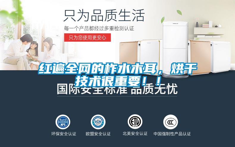 紅遍全網(wǎng)的柞水木耳，烘干技術(shù)很重要?。?/></p>
                              <p style=