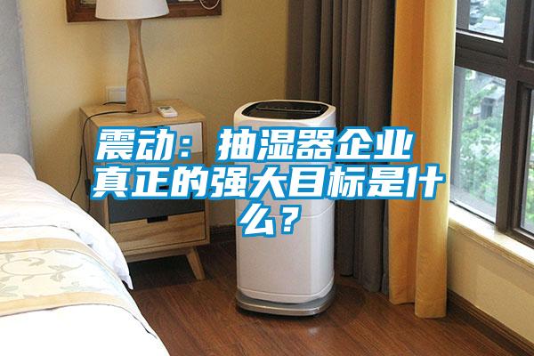 震動：抽濕器企業(yè) 真正的強(qiáng)大目標(biāo)是什么？