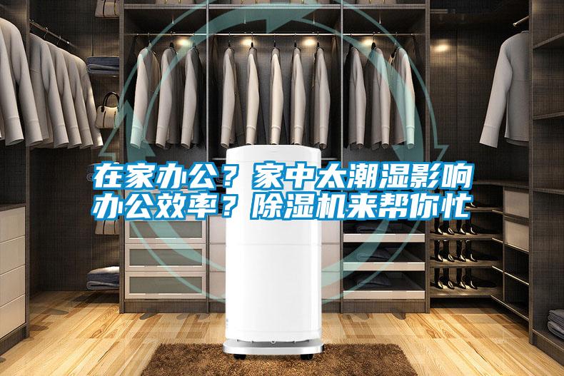 在家辦公？家中太潮濕影響辦公效率？除濕機(jī)來(lái)幫你忙
