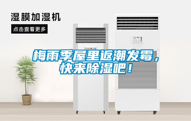 梅雨季屋里返潮發(fā)霉，快來除濕吧！