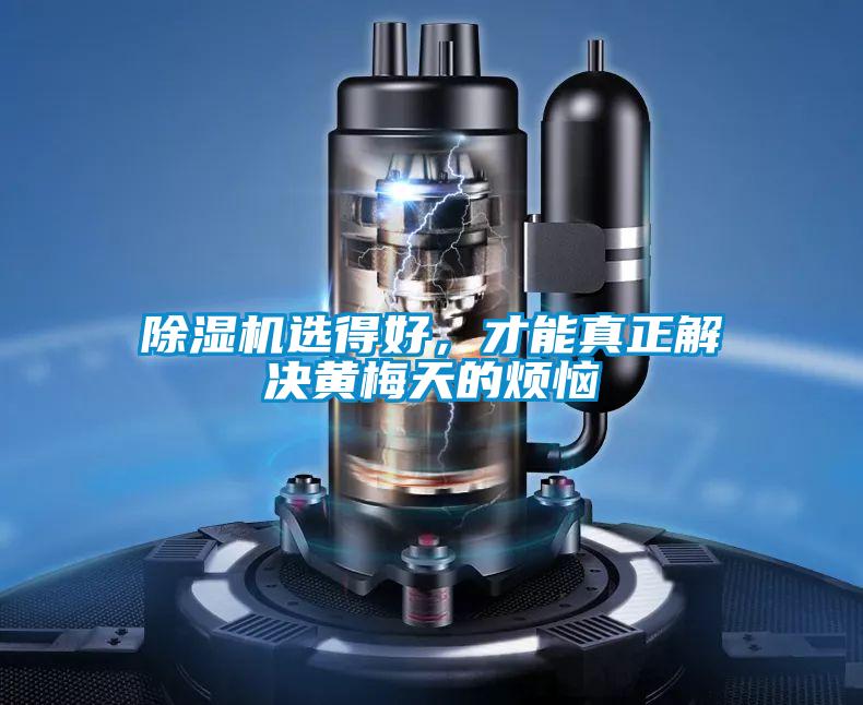 除濕機選得好，才能真正解決黃梅天的煩惱