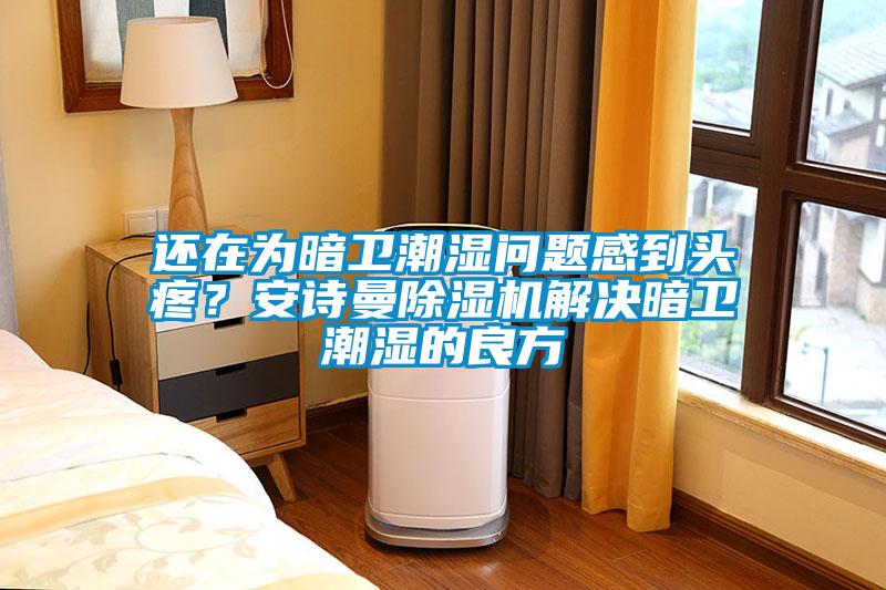 還在為暗衛(wèi)潮濕問題感到頭疼？安詩曼除濕機(jī)解決暗衛(wèi)潮濕的良方