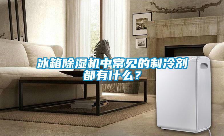 冰箱除濕機中常見的制冷劑都有什么？