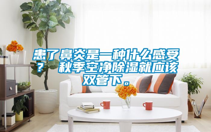患了鼻炎是一種什么感受？ 秋季空凈除濕就應(yīng)該雙管下。