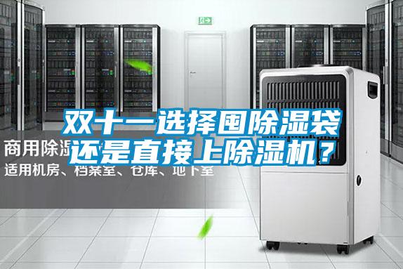 雙十一選擇囤除濕袋還是直接上除濕機(jī)？