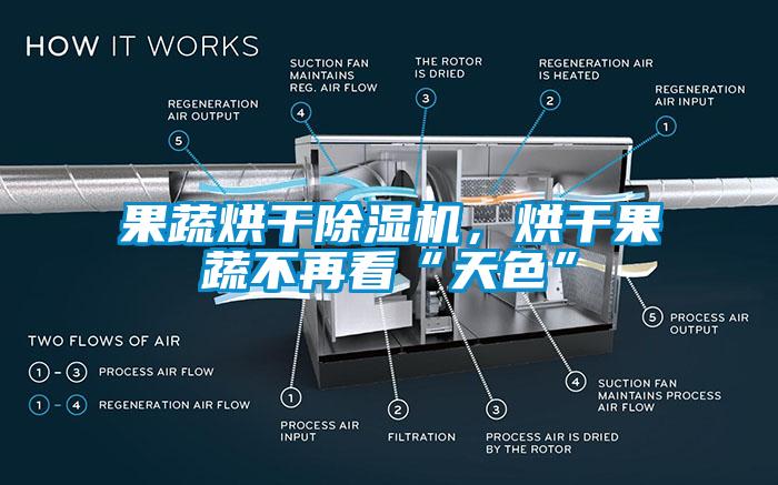 果蔬烘干除濕機，烘干果蔬不再看“天色”