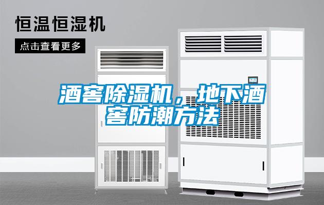 酒窖除濕機(jī)，地下酒窖防潮方法
