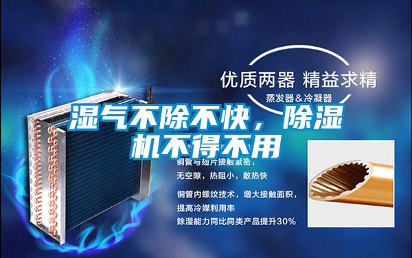 濕氣不除不快，除濕機不得不用