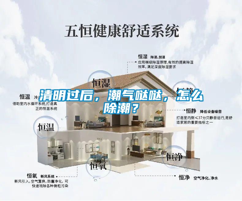 清明過后，潮氣噠噠，怎么除潮？