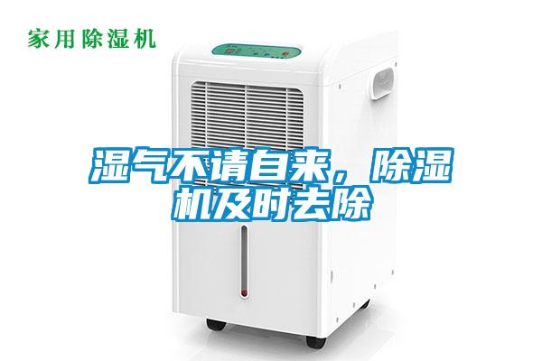 濕氣不請(qǐng)自來(lái)，除濕機(jī)及時(shí)去除