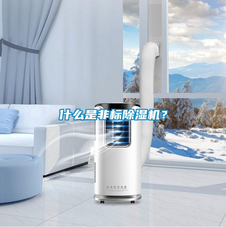 什么是非標除濕機？