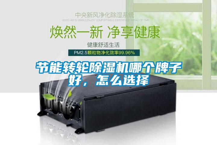 節(jié)能轉(zhuǎn)輪除濕機(jī)哪個(gè)牌子好，怎么選擇
