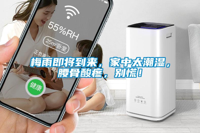 梅雨即將到來，家中太潮濕，腰骨酸疼，別慌！