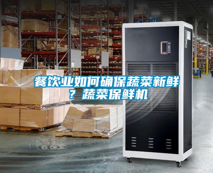 餐飲業(yè)如何確保蔬菜新鮮？蔬菜保鮮機