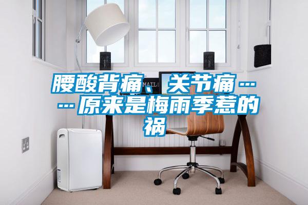 腰酸背痛、關(guān)節(jié)痛……原來是梅雨季惹的禍