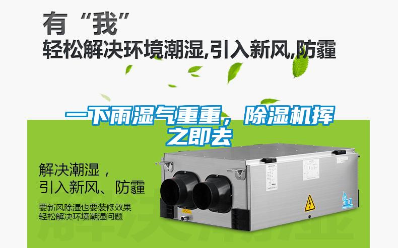 一下雨濕氣重重，除濕機(jī)揮之即去