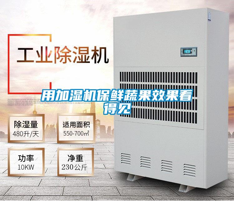 用加濕機(jī)保鮮蔬果效果看得見(jiàn)