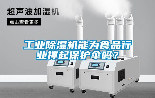 工業(yè)除濕機(jī)能為食品行業(yè)撐起保護(hù)傘嗎？