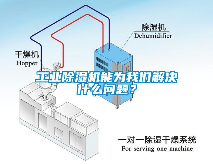 工業(yè)除濕機能為我們解決什么問題？