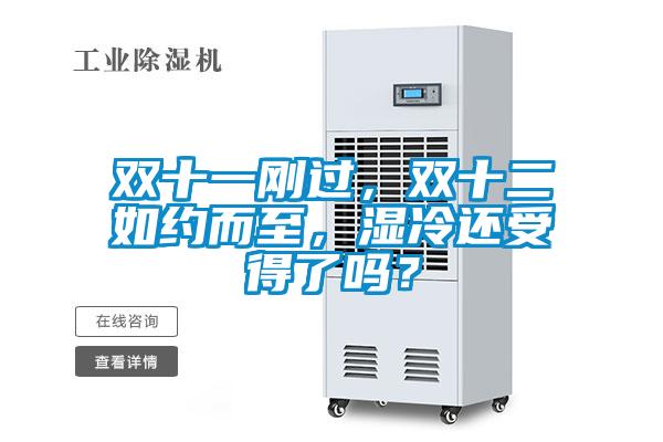 雙十一剛過，雙十二如約而至，濕冷還受得了嗎？
