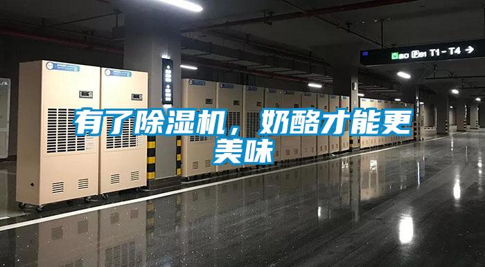 有了除濕機(jī)，奶酪才能更美味