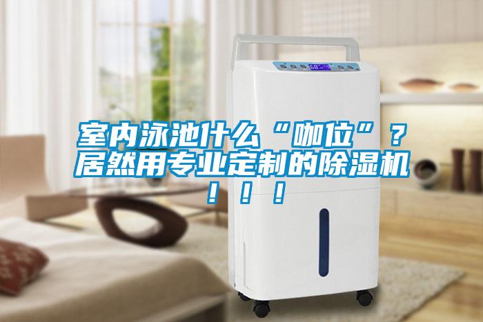 室內(nèi)泳池什么“咖位”？居然用專業(yè)定制的除濕機(jī)?。?！
