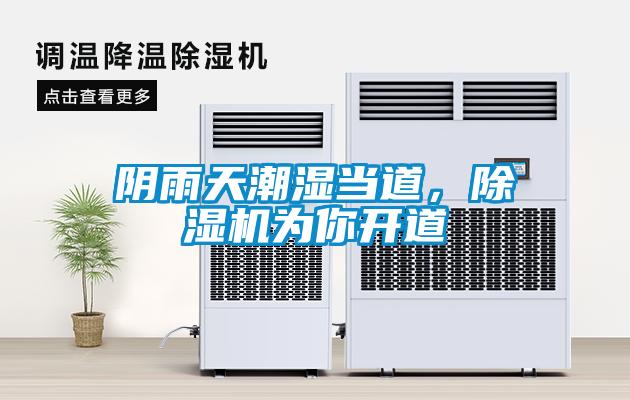 陰雨天潮濕當?shù)溃凉駲C為你開道