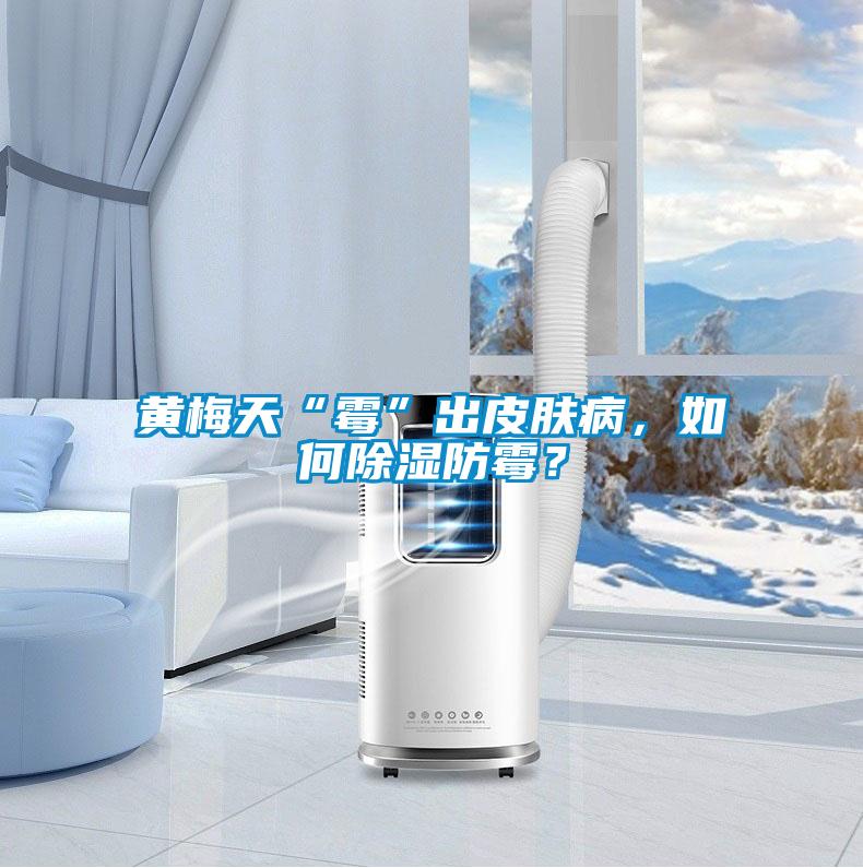 黃梅天“霉”出皮膚病，如何除濕防霉？