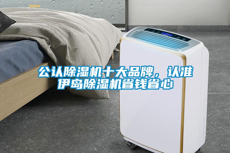 公認除濕機十大品牌，認準伊島除濕機省錢省心