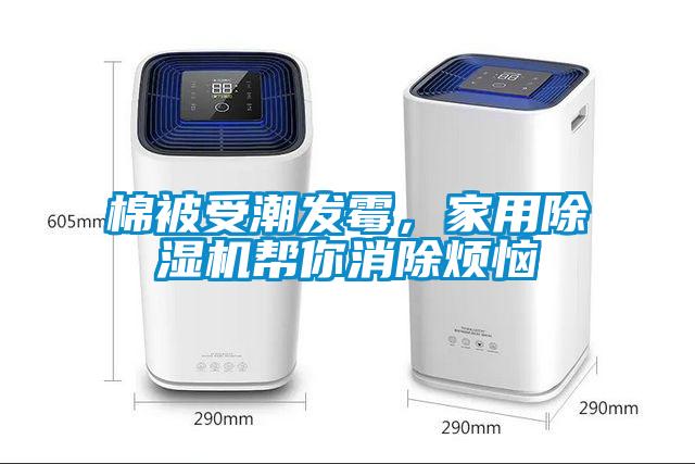 棉被受潮發(fā)霉，家用除濕機幫你消除煩惱